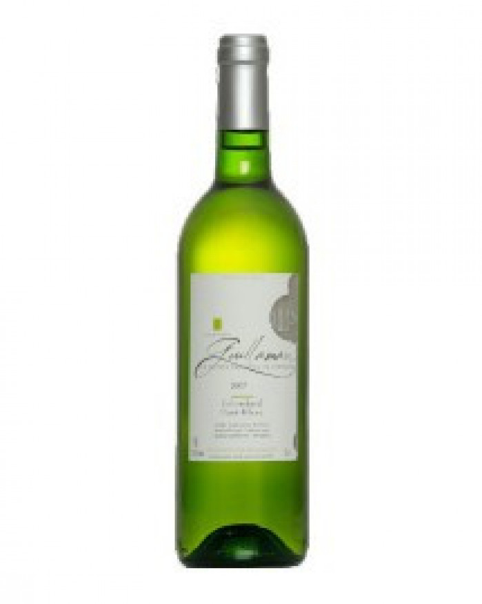 Vin blanc AOC Côte de Gascogne 75 cl